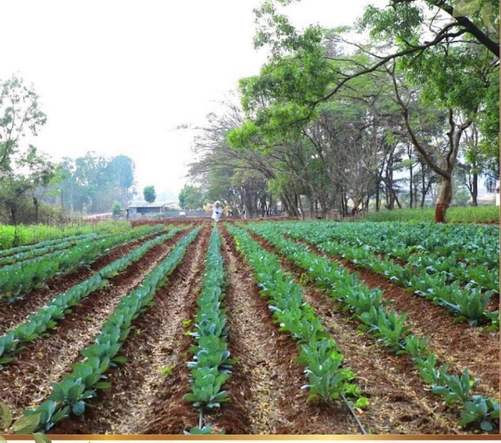 Whispering Woods Villa And Eco Farms โลนาวาลา ภายนอก รูปภาพ